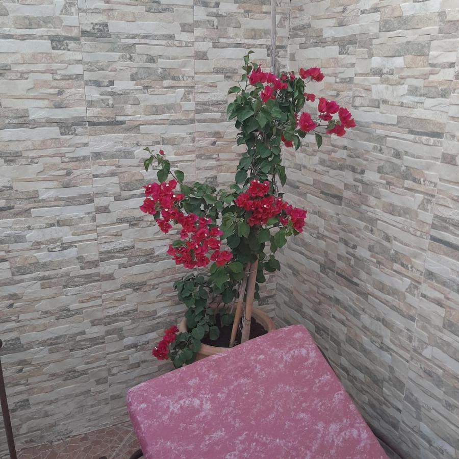 מרקש Riad Bab Almadina מראה חיצוני תמונה